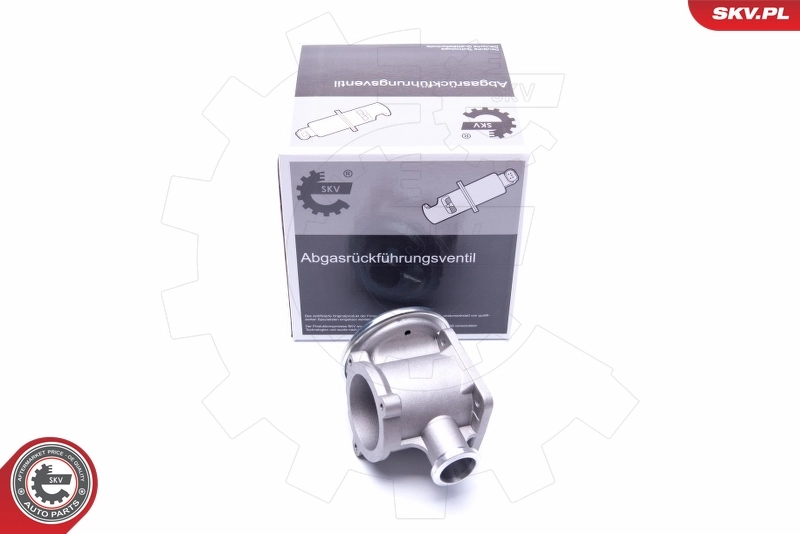 EGR Valve